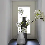 Il Mulino
