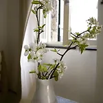 Il Mulino Stibiveri