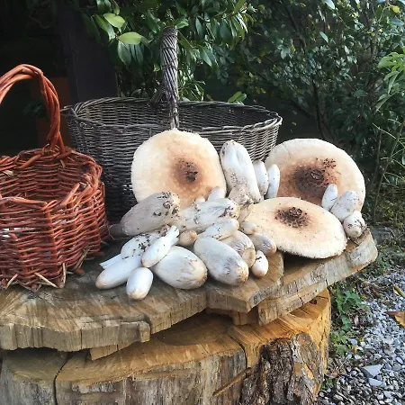 Il Mulino Farm stay Stibiveri